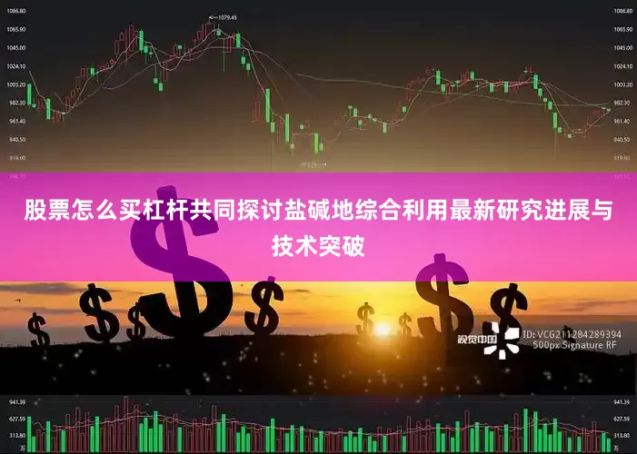 股票怎么买杠杆共同探讨盐碱地综合利用最新研究进展与技术突破